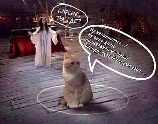 FB_IMG_1645097731395.jpg