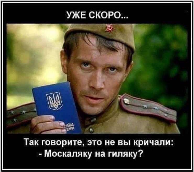 0f46120c23175b38ee4bf1731de34978.jpg