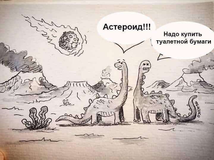 FB_IMG_1648227527409.jpg