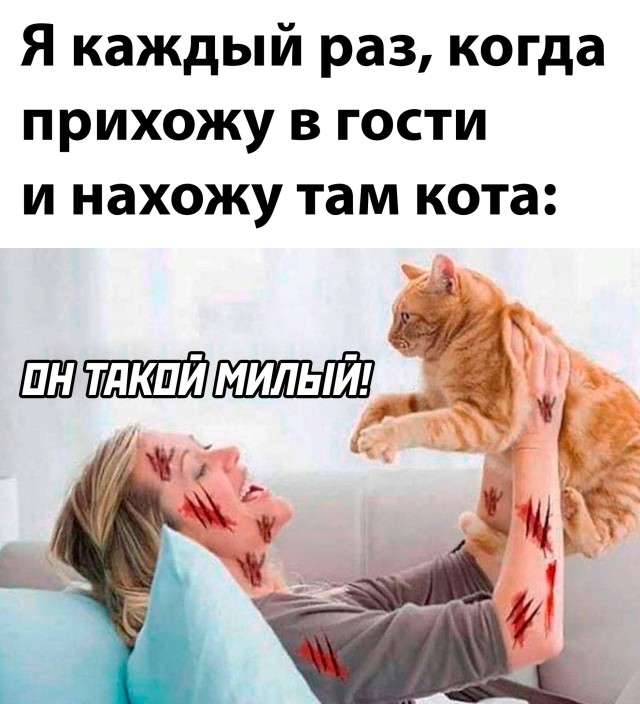 1648483236_prikoly-i-kartinki-26.jpg