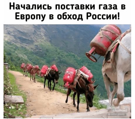 upload_2022-4-3_7-38-23.png