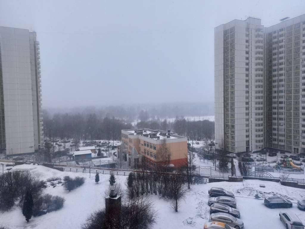 02156696525536 (1).jpg