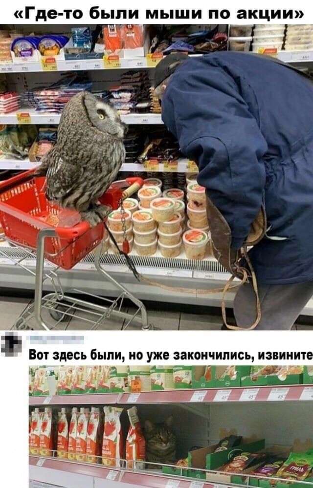 1A5F0615-7778-49EB-839F-E83482F4F72F.jpeg