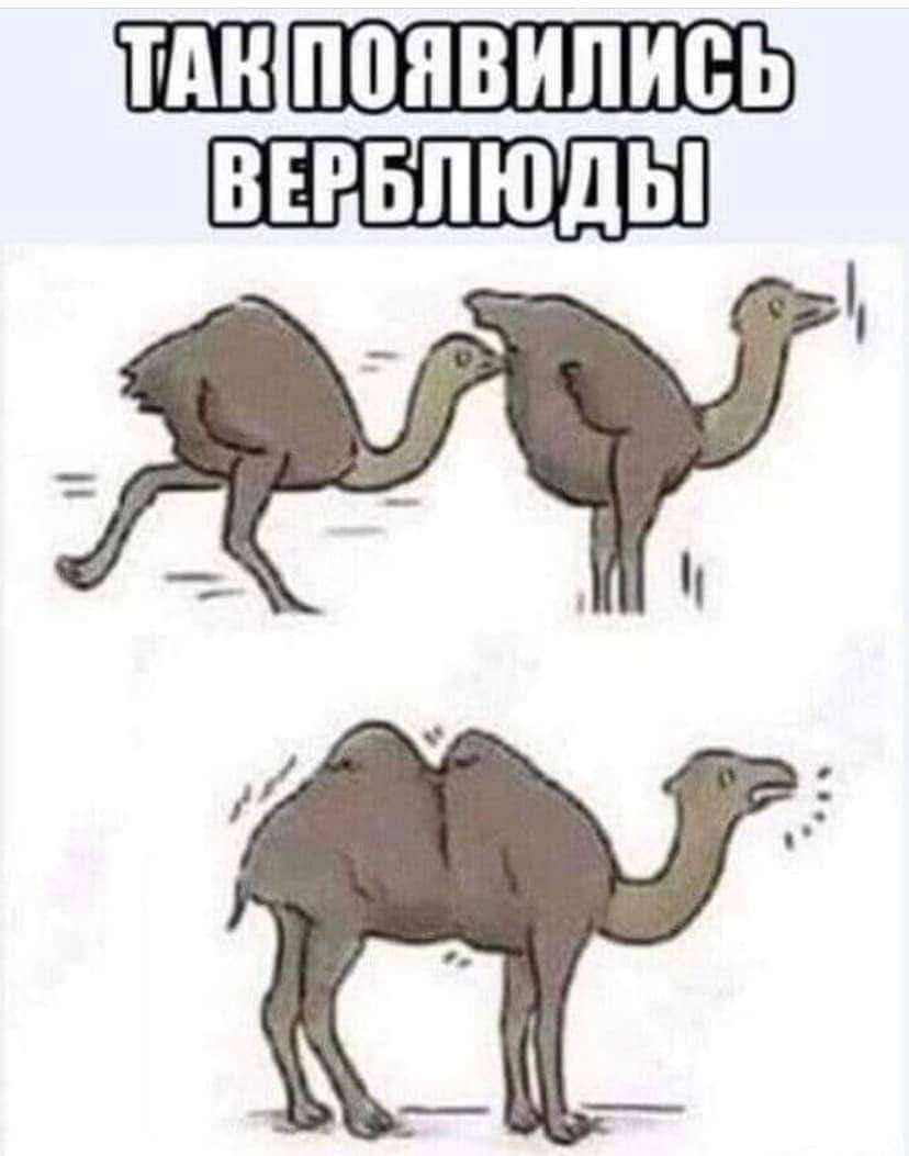 FB_IMG_1649338776830.jpg
