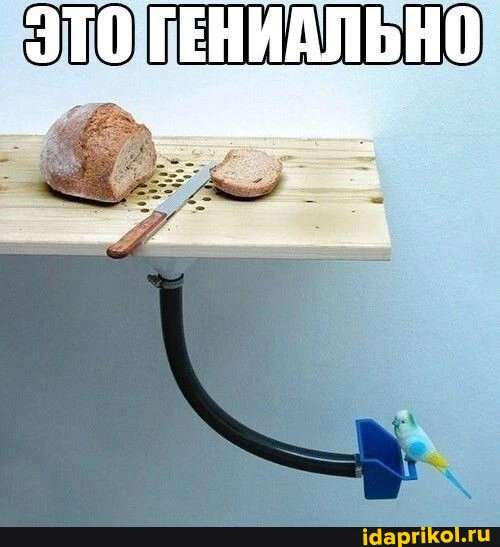 272eb0881cb35af685eb9050601b70189e8a8c571a24c38863d1713705e36793_1.jpg