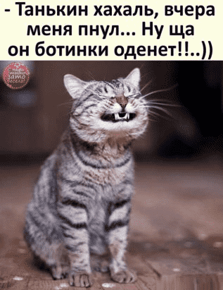 upload_2022-4-12_12-30-36.png