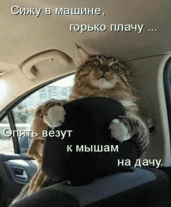 upload_2022-5-10_19-54-17.png