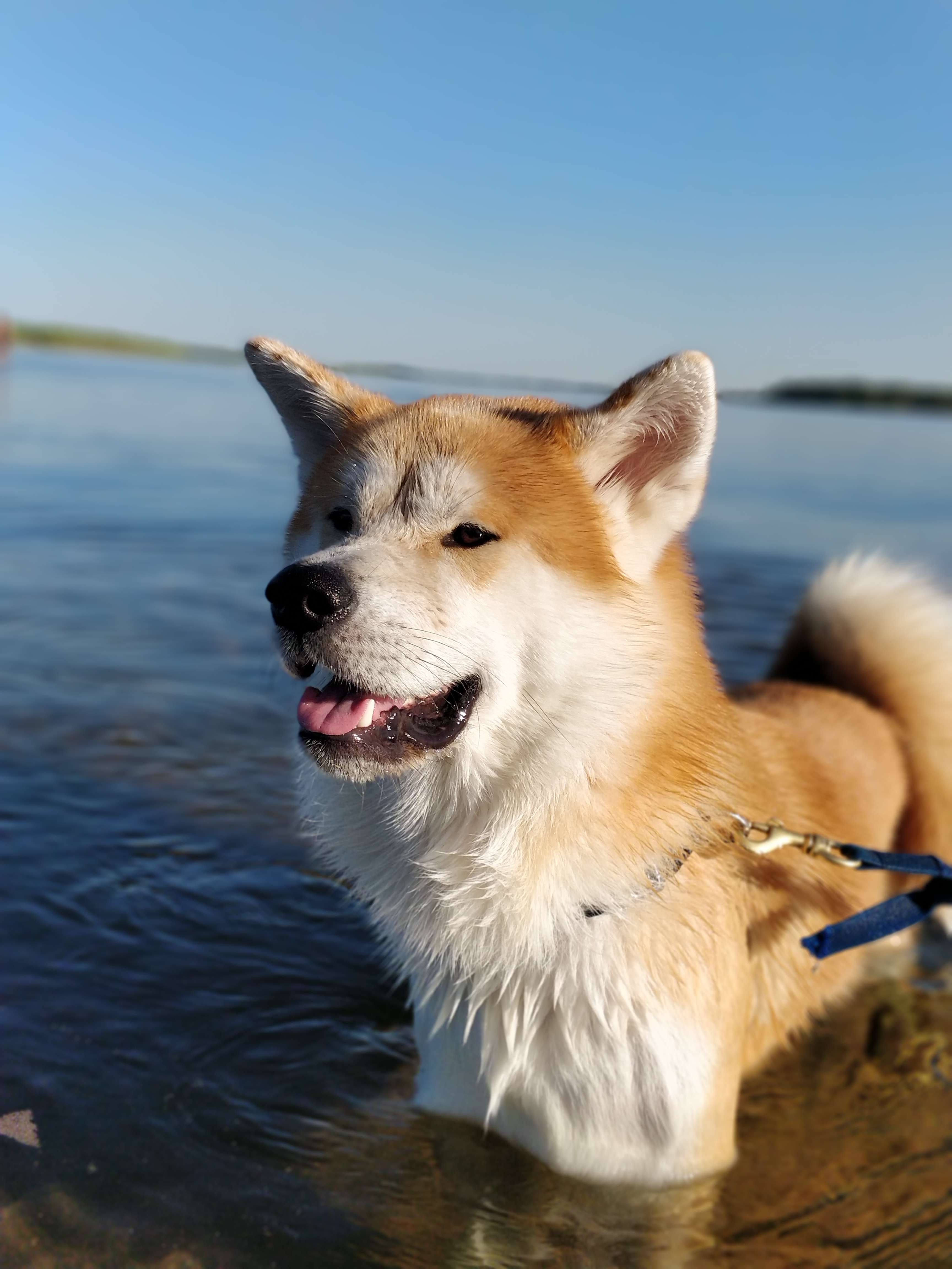 IMG_20220715_174721_Bokeh.jpg