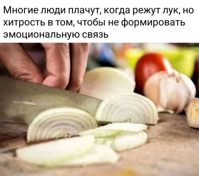 1664721383-4ba9fc6d6bb64a75a3a3612cac579d4d (1).jpeg