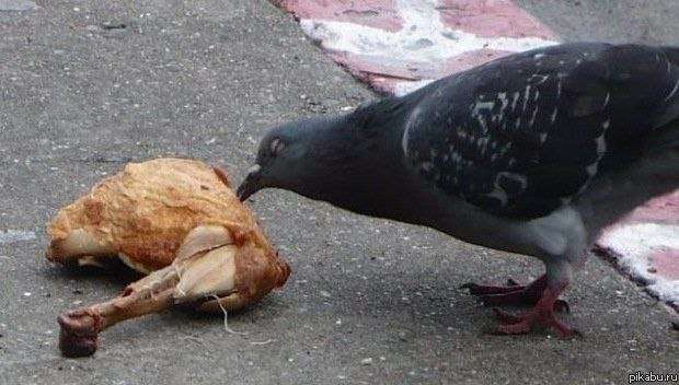 bLoz-I0YtpA.jpg