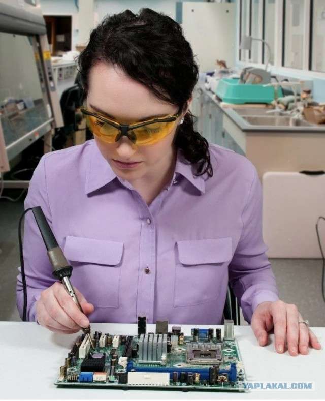 17150833.jpg