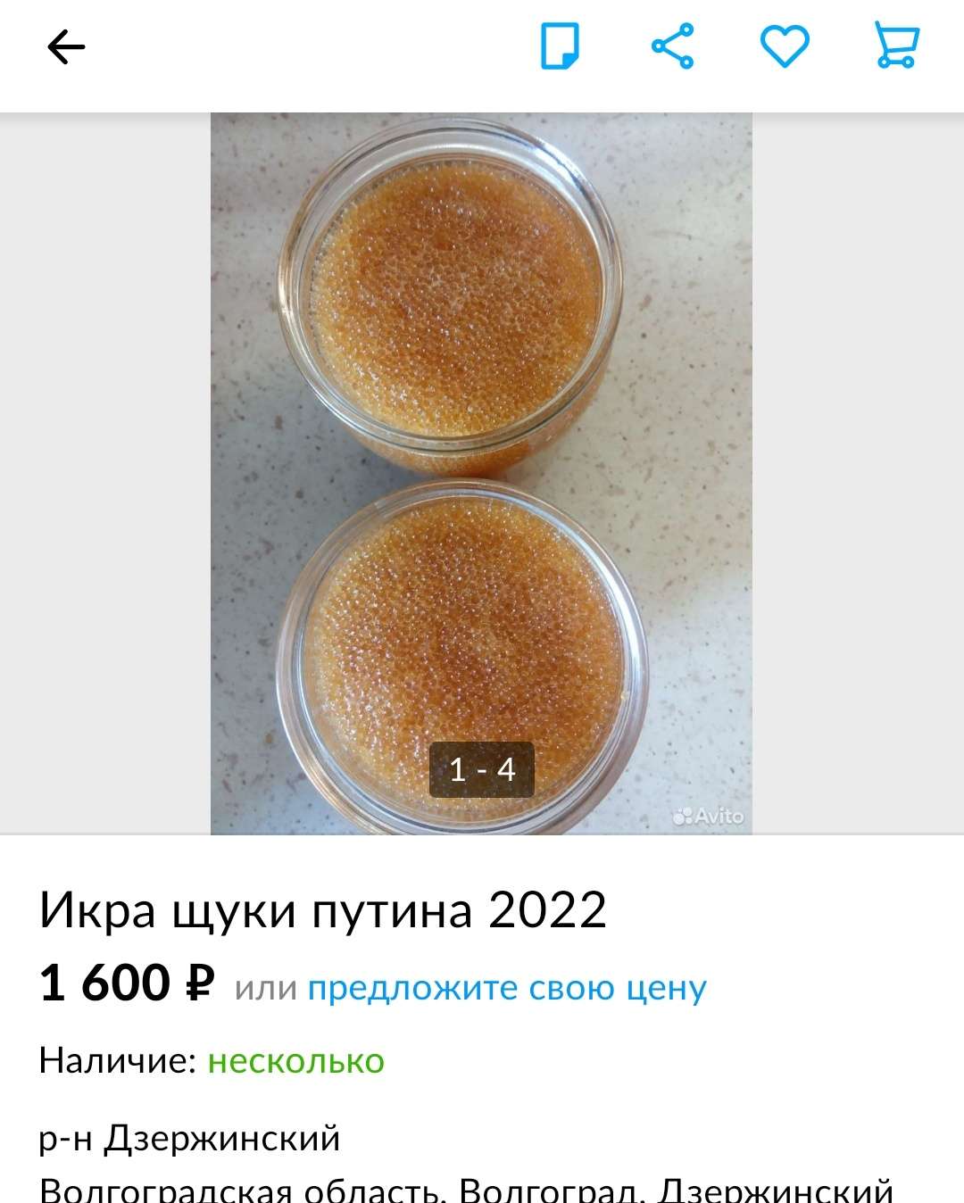 Screenshot_20221212-132225__01.jpg
