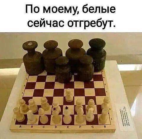 5242455086456751062_120.jpg