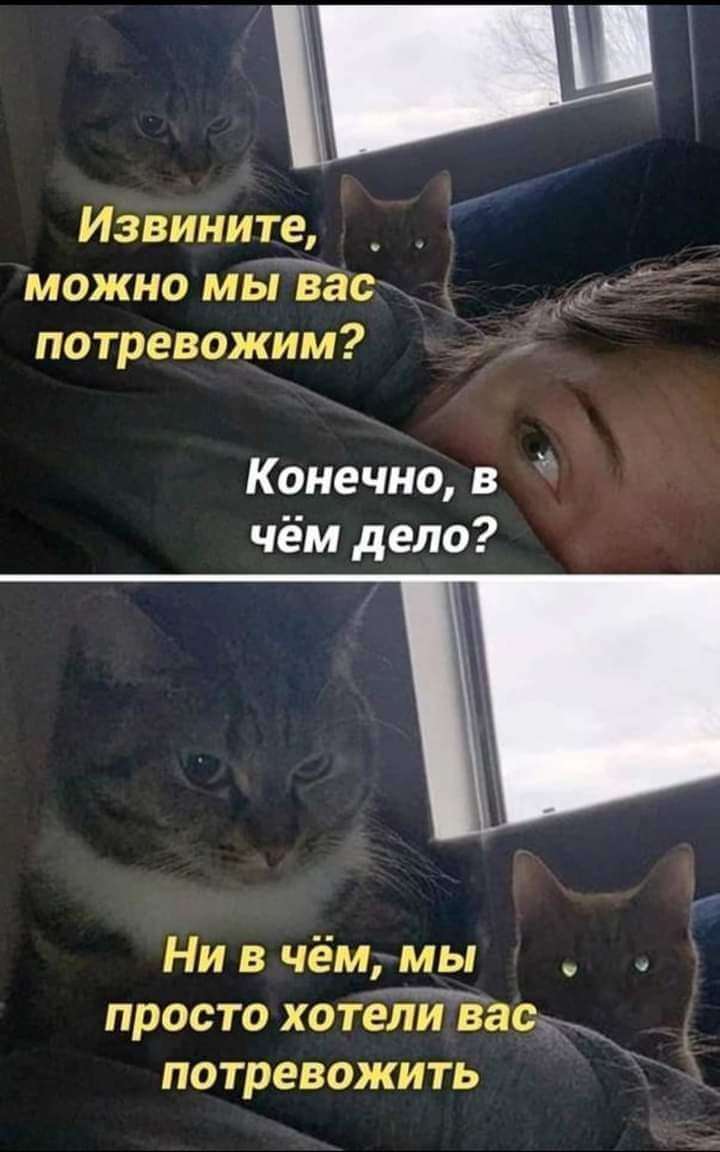 FB_IMG_1672334617552.jpg