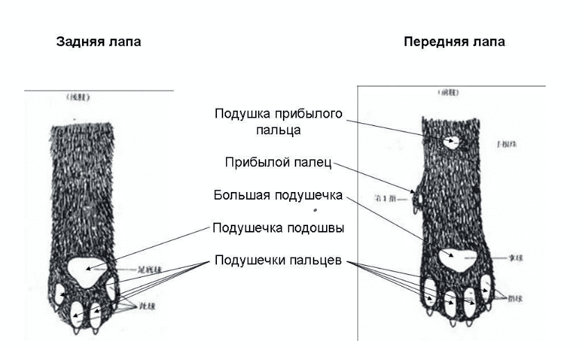 Screenshot 2023-01-25 091354.png