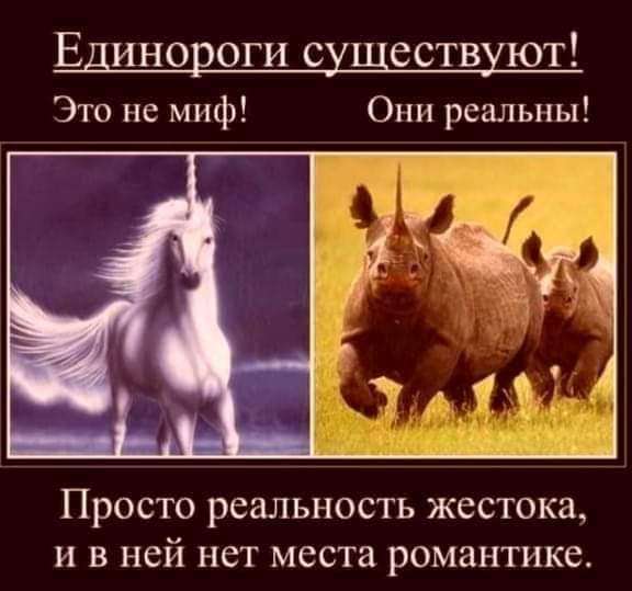 FB_IMG_1676477801659.jpg