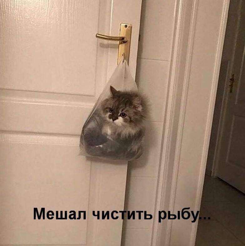 FB_IMG_1677347907248.jpg