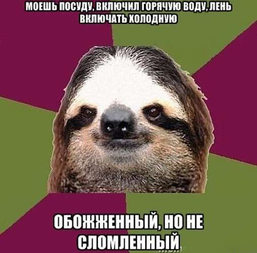 неслом.jpg
