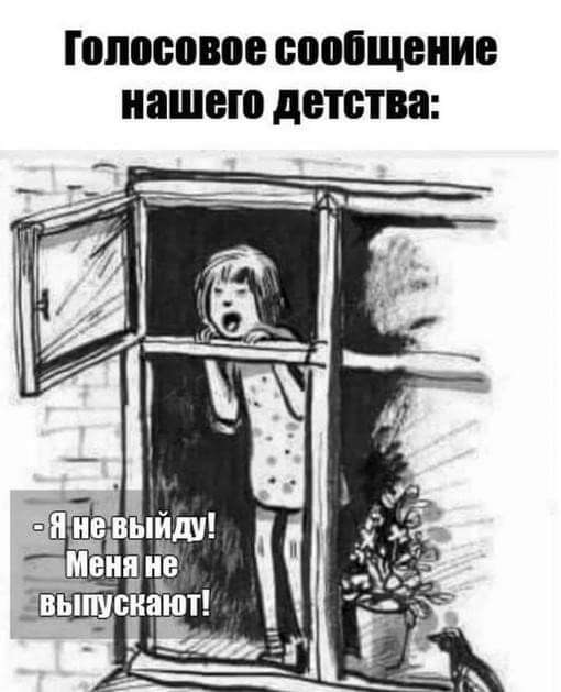 FB_IMG_1679940737823.jpg