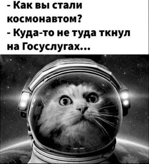 WhatsApp Image 2023-04-12 at 16.51.19.jpg