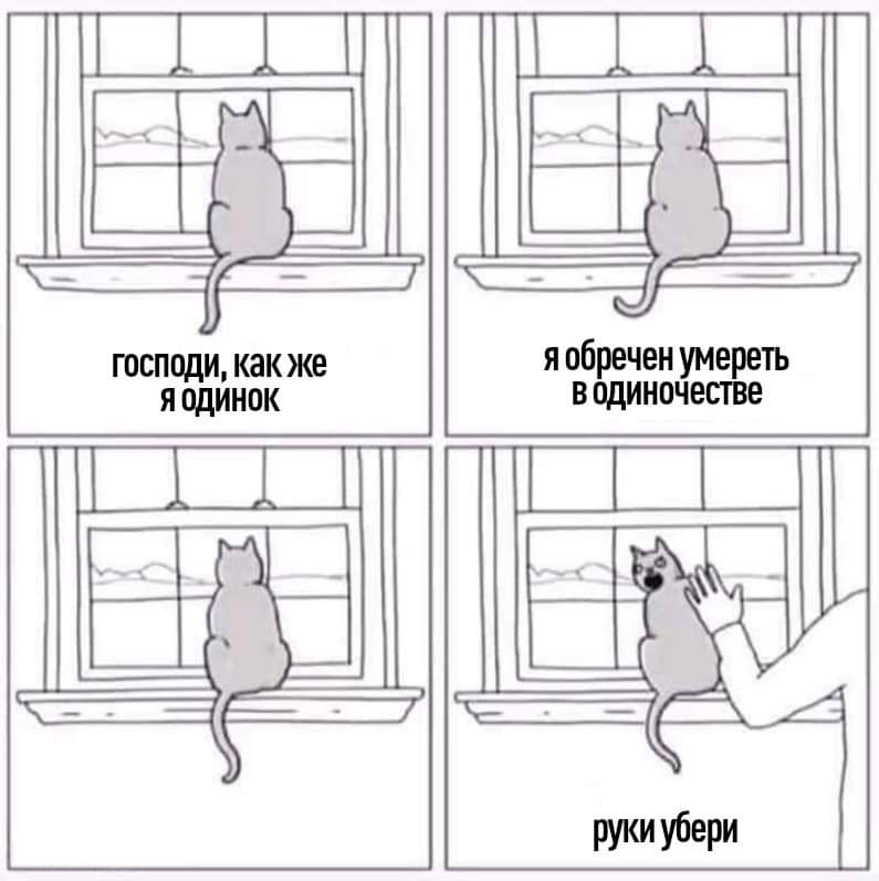 FB_IMG_1683136539308.jpg