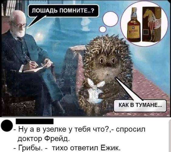 FB_IMG_1683825780615.jpg