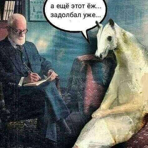 FB_IMG_1683825812484.jpg