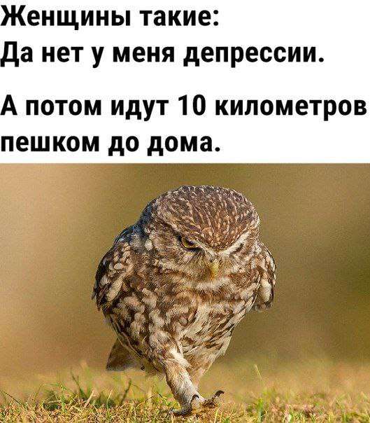 Подколоть spoke.jpg