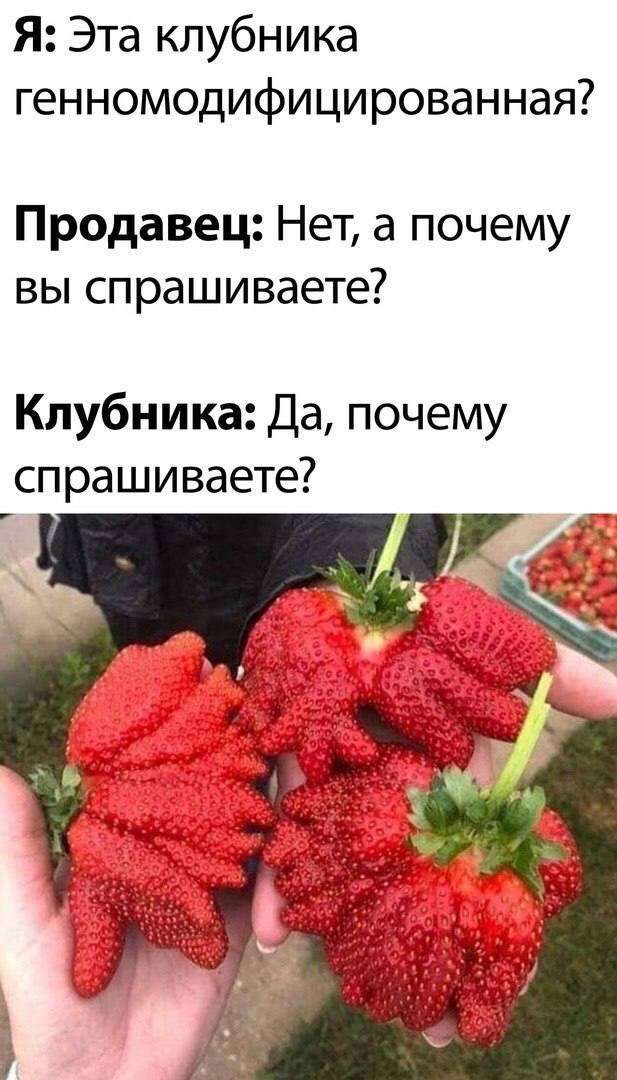 J5_XsHnswZg.jpg