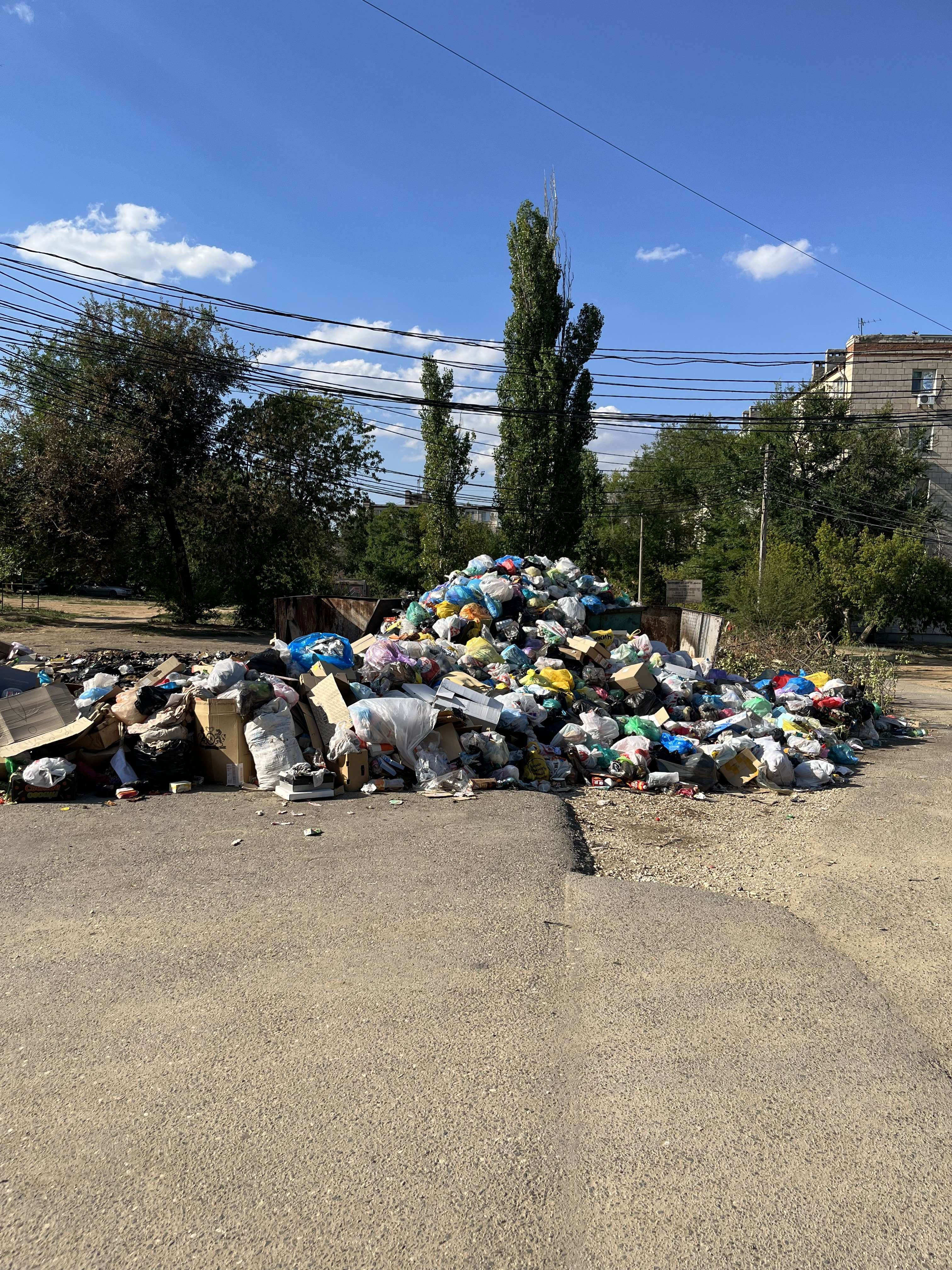 Не вывозят мусор в Волгограде | Волгоградский форум