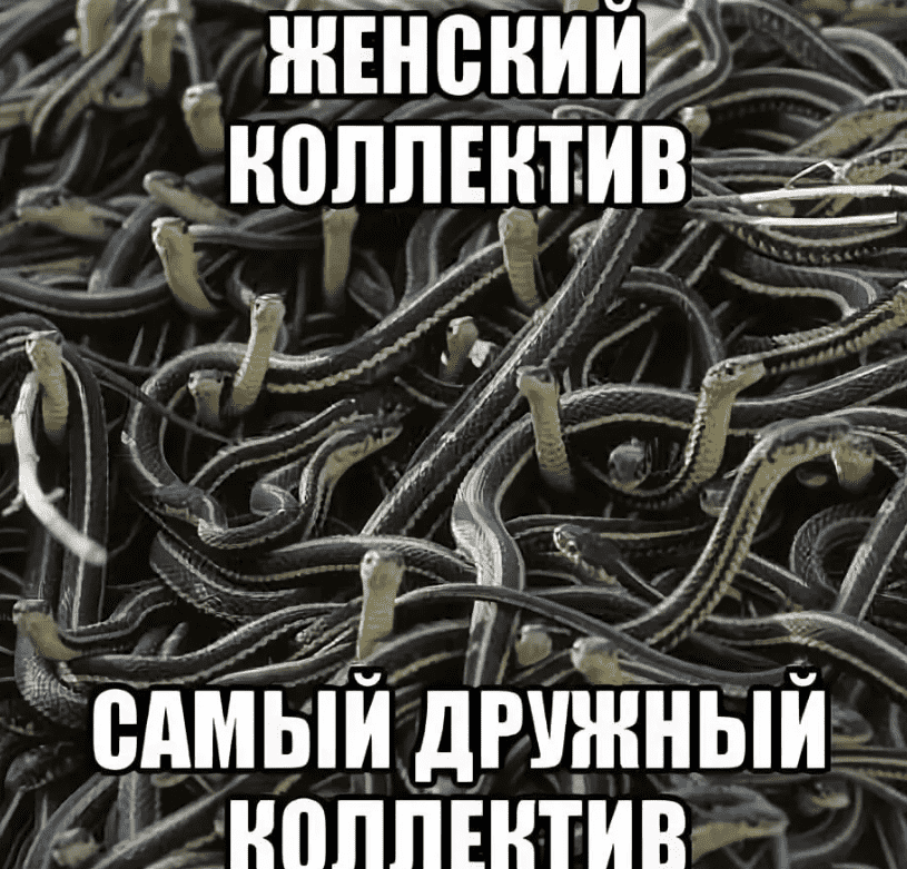 upload_2023-11-29_13-8-53.png