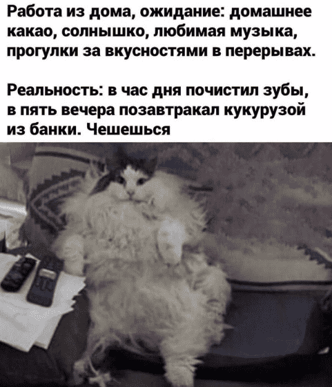 image_2024-05-29_161048920.png