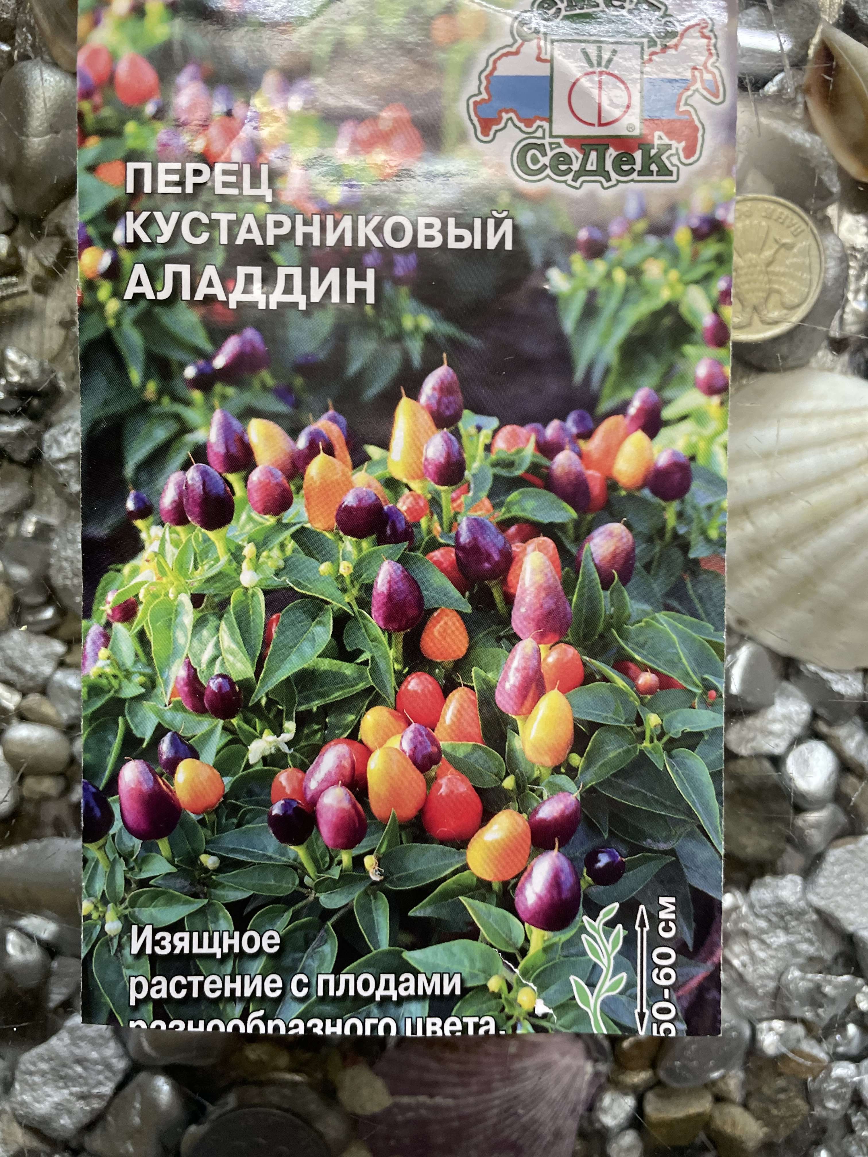 IMG_6657.jpeg