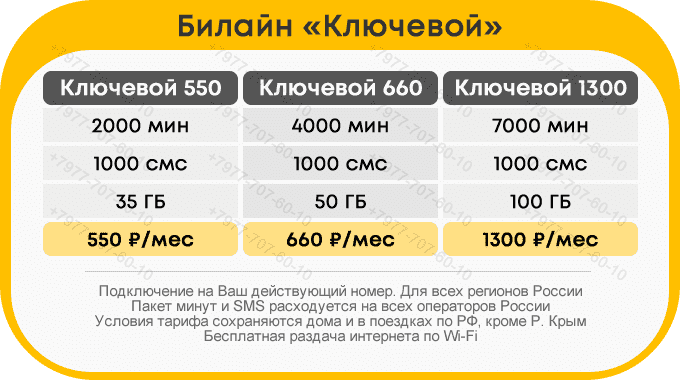 beeline_kluchevoi2023.png