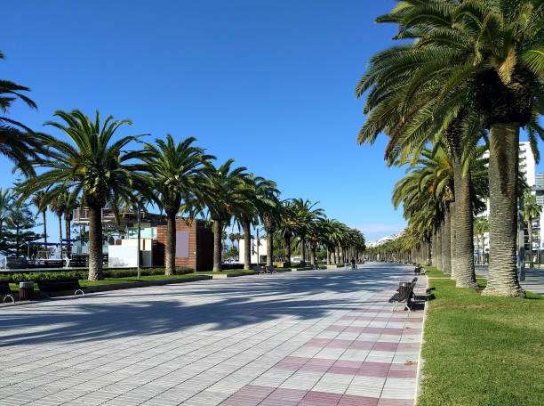 upload_2025-6-2_15-57-19.jpeg