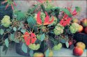gloriosa1.jpg