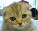 DSC00527.JPG