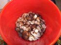 DSCF3584.jpg