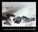 летняя рез.jpeg