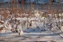 IMG_5815-Edit-Edit.jpg