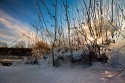 IMG_5841-Edit-Edit.jpg