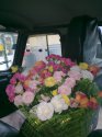 Фото0372.jpg