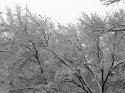 IMG_1930.jpg