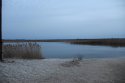 IMG_3784.jpg