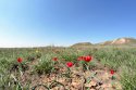 DSC_5662_small.jpg