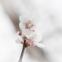 IMG_7419-Edit-2.jpg