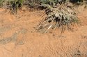 DSC_5962.jpg