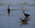 IMG_5054.jpg