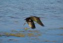IMG_5055.jpg