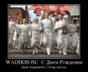 517263_wadikbosc-s-dnem-rozhdeniya_demotivators_ru.jpg